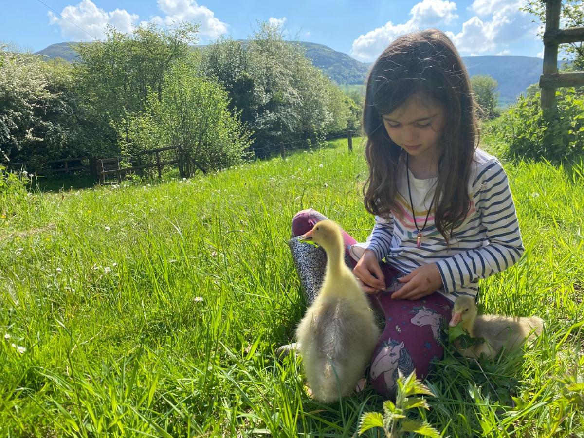 Black Mountains Stylish Hideaway, Nr Crickhowell Llanbedr  Ngoại thất bức ảnh