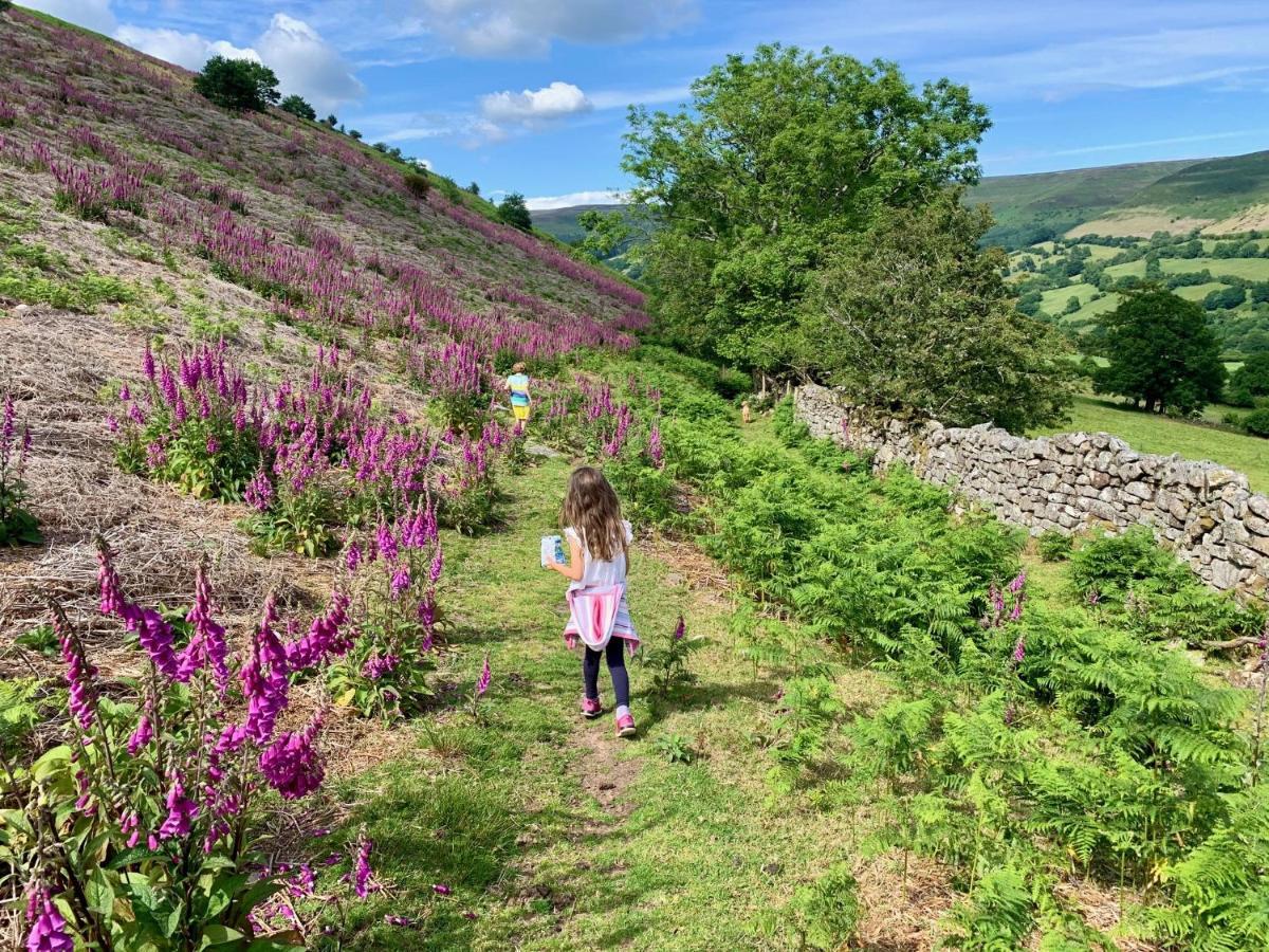 Black Mountains Stylish Hideaway, Nr Crickhowell Llanbedr  Ngoại thất bức ảnh